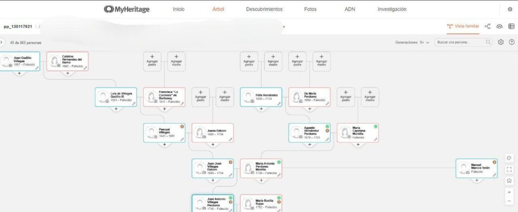 árbol genealógico en pareja